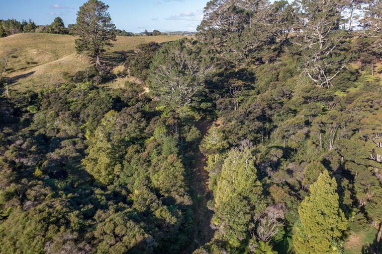 Photo of property in 244b Blackbridge Road, Dairy Flat, 0794