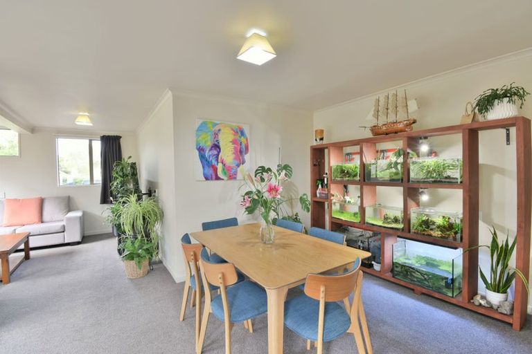 Photo of property in 303 Main South Road, Green Island, Dunedin, 9018