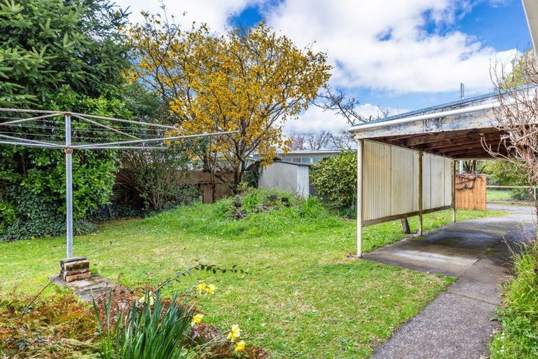Photo of property in 41 Te Rangitautahanga Road, Turangi, 3334