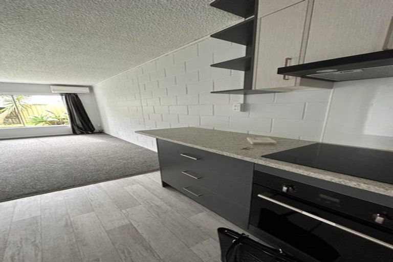 Photo of property in 170 Ulster Street, Whitiora, Hamilton, 3200