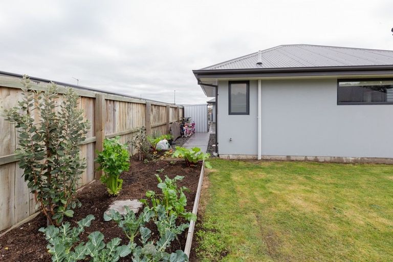 Photo of property in 8 Blue Jean Avenue, Rolleston, 7614