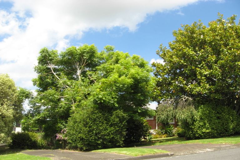 Photo of property in 310 Upper Queen Street, Pukekohe, 2120