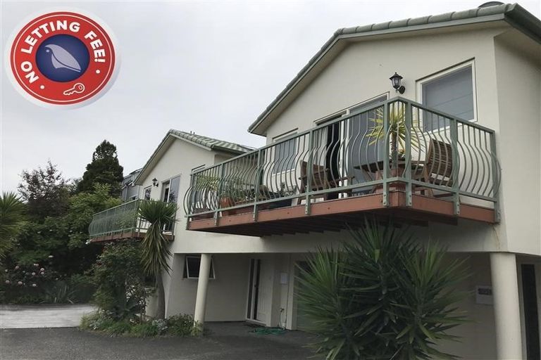 Photo of property in 13c Onslow Road, Bluff Hill, Napier, 4110