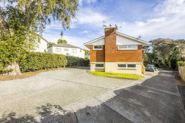 Photo of property in 23a Ruawai Road, Mount Wellington, Auckland, 1060