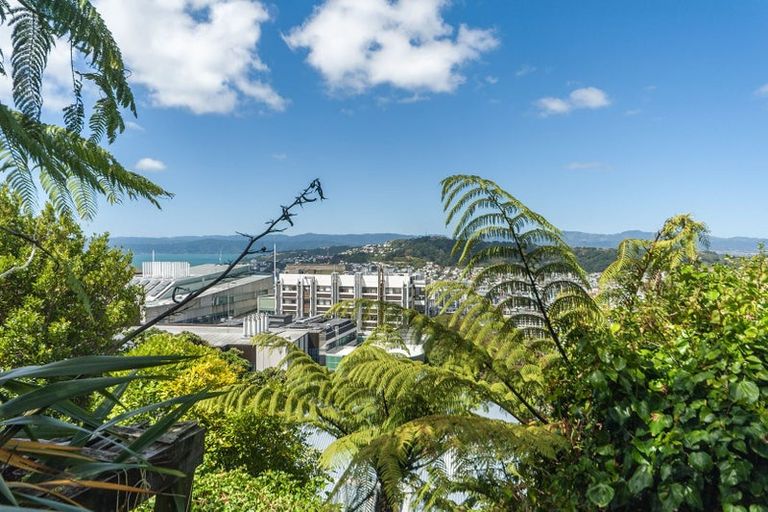 Photo of property in 80 Kelburn Parade, Kelburn, Wellington, 6012