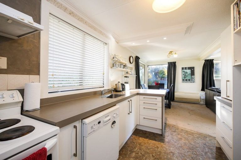 Photo of property in 17 Colquhoun Street, Glenross, Dunedin, 9011
