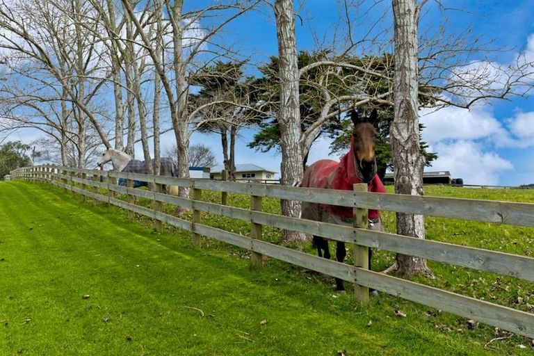 Photo of property in 323 Ireland Road, Waitoki, Kaukapakapa, 0871