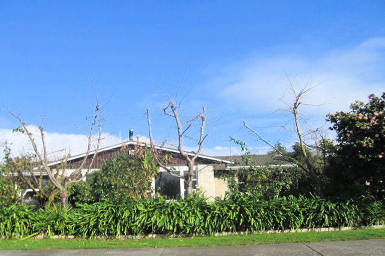 Photo of property in 33 Flaxmere Avenue, Flaxmere, Hastings, 4120