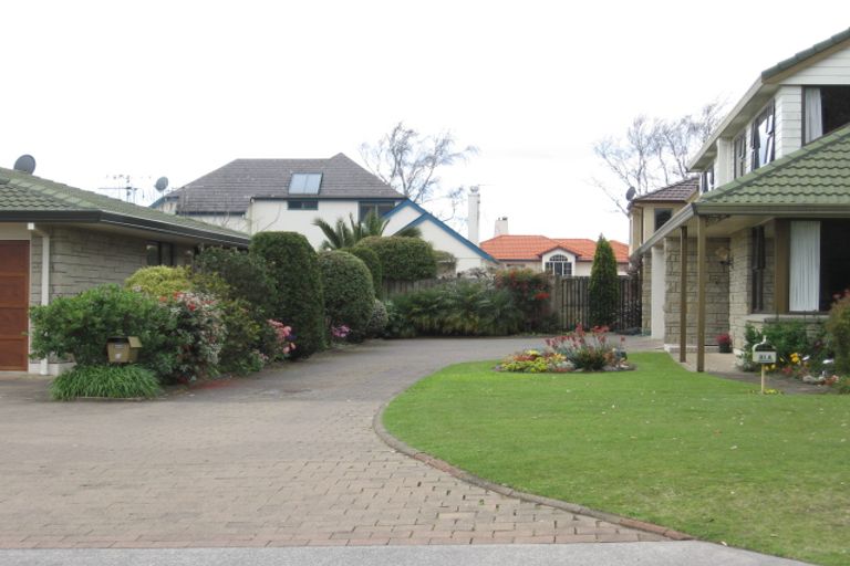 Photo of property in 81a Sixth Avenue, Tauranga, 3110