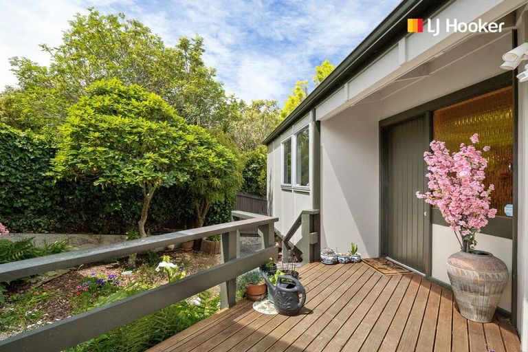 Photo of property in 9 Elliffe Place, Shiel Hill, Dunedin, 9013