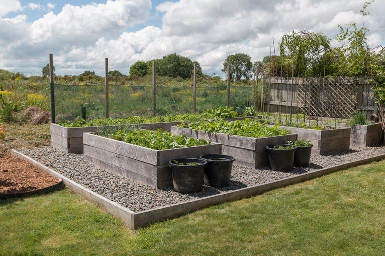 Photo of property in 20 Aldona Place, Fairview Downs, Hamilton, 3214