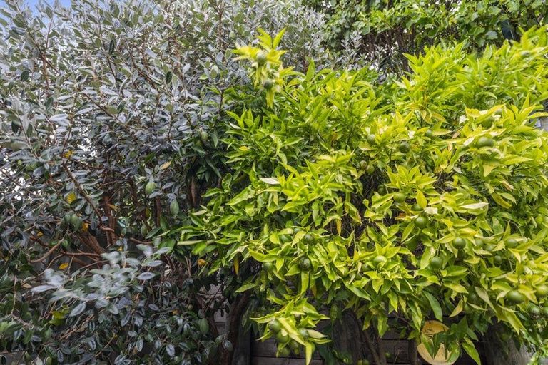 Photo of property in 44 Chesterfield Way, Orewa, 0931