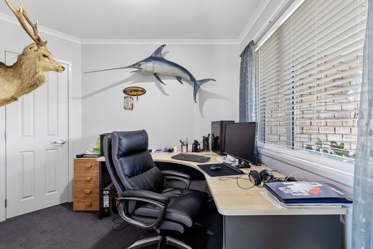 Photo of property in 233 Waipapa Block Road, Whakamarama, Tauranga, 3180