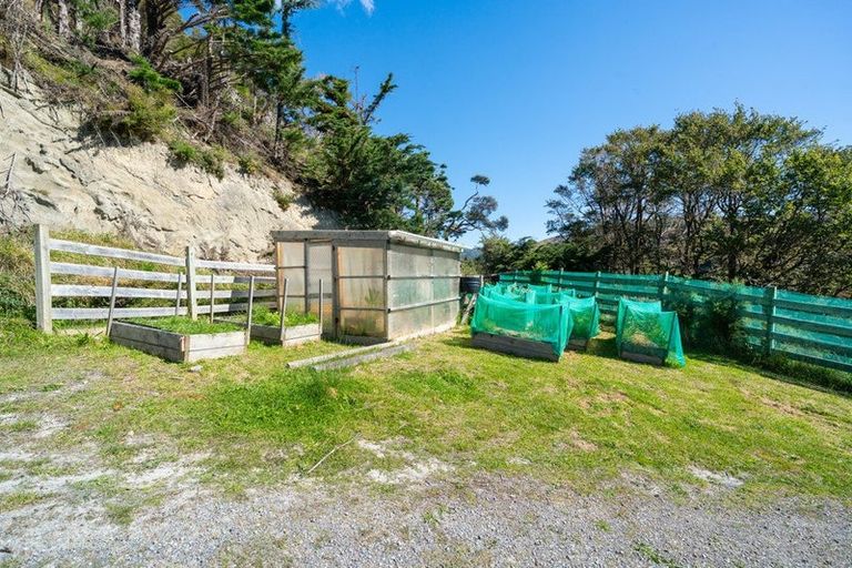 Photo of property in 474 Omokoroa Road, Makara, Wellington, 6972