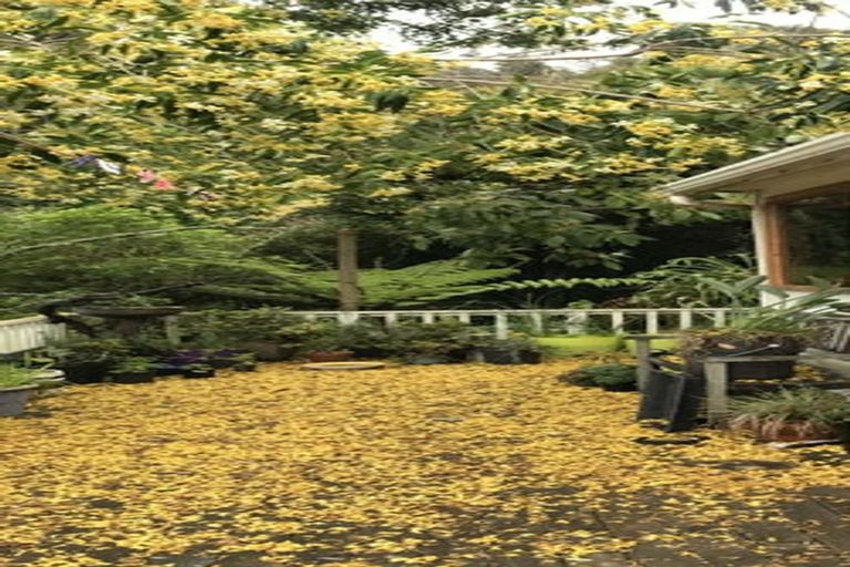 Photo of property in 19 Causeway Road, Haruru, 0204