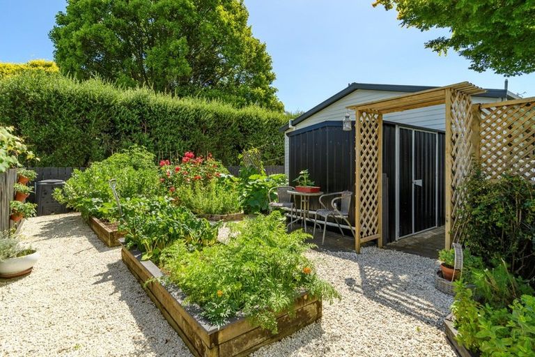 Photo of property in 285 Plummers Point Road, Whakamarama, Tauranga, 3172