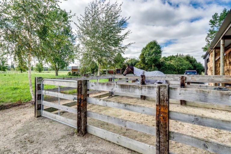 Photo of property in 186 Swamp Road, Ongaonga, Waipawa, 4272