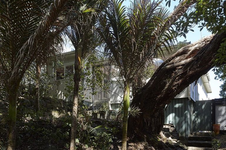 Photo of property in 72 Garden Road, Piha, New Lynn, 0772