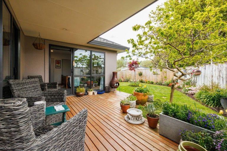 Photo of property in 18 Ursula Drive, Feilding, 4702