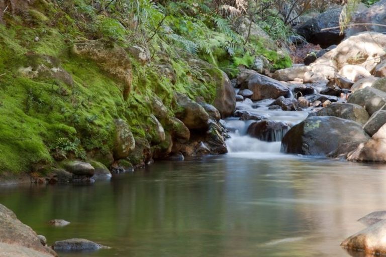 Photo of property in 50c Paul Road, Whenuakite, Whitianga, 3591