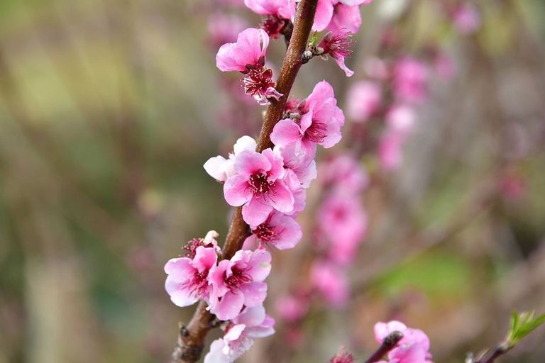 Photo of property in 4 Kanuka Road, Sandspit, Warkworth, 0982