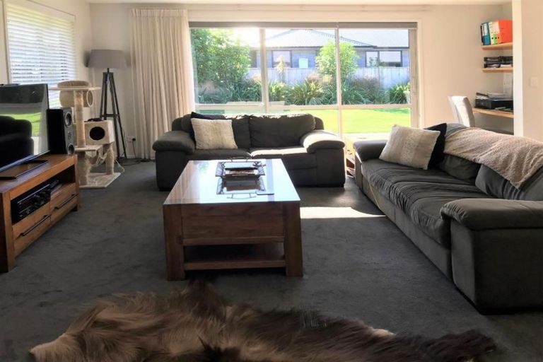 Photo of property in 38 Cyrus Street, Whalers Gate, New Plymouth, 4310