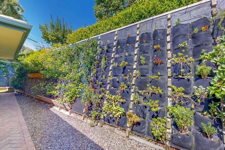 Photo of property in 230 The Booms Avenue, Thames, 3500