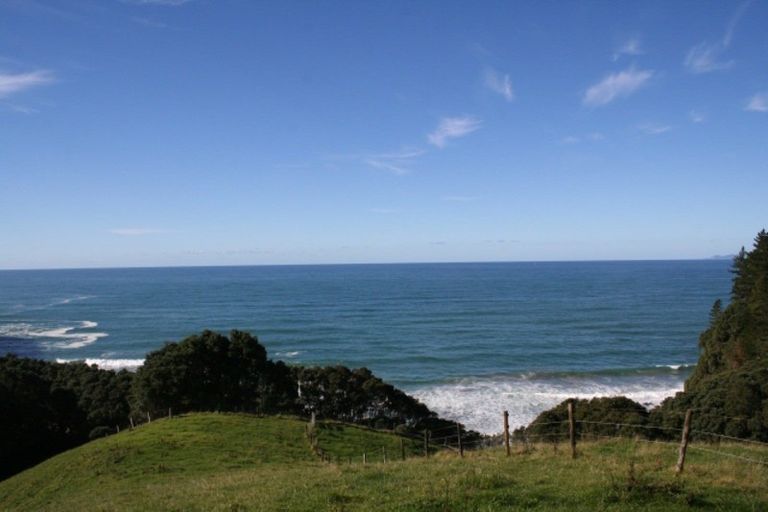 Photo of property in 341 Onemana Drive, Onemana, Whangamata, 3691