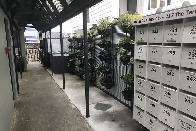 Photo of property in Avon Flats, 11/217 The Terrace, Wellington Central, Wellington, 6011