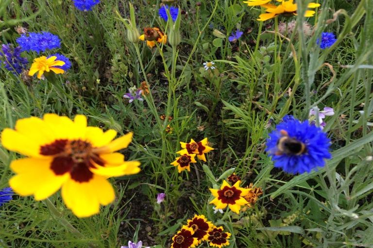 Photo of property in 26 Beach Street, Island Bay, Wellington, 6023