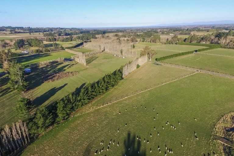 Photo of property in 269 Loburn Whiterock Road, Loburn, Rangiora, 7472