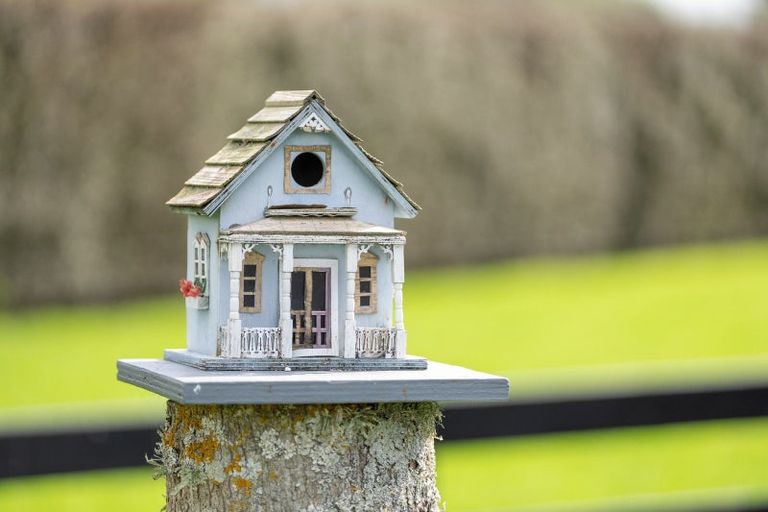 Photo of property in 308 Pencarrow Road, Tamahere, Hamilton, 3283