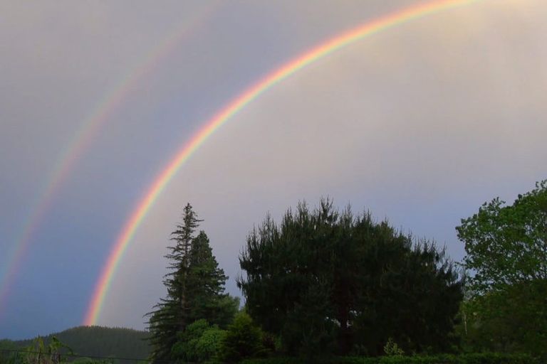 Photo of property in 46 Ruapapa Road, Frasertown, Wairoa, 4195