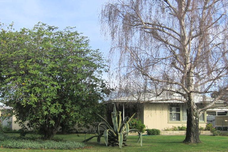 Photo of property in 904 Williams Street, Mahora, Hastings, 4120