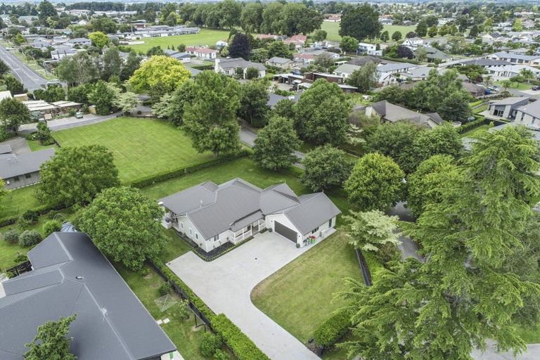 Photo of property in 8 Eldonwood Drive, Matamata, 3400