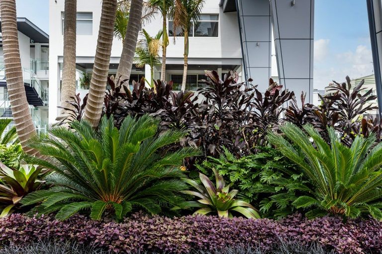 Photo of property in Y21/30 York Street, Parnell, Auckland, 1052