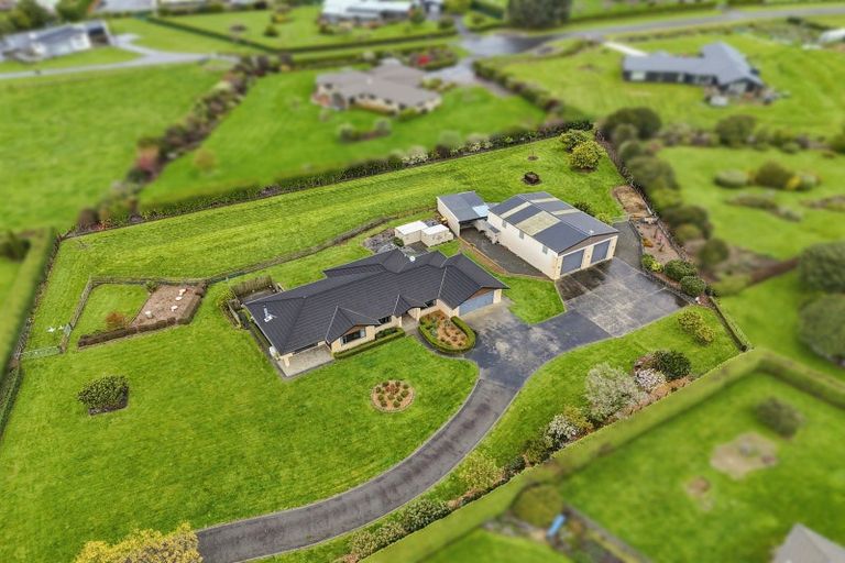 Photo of property in 53 Pohutukawa Drive, Levin, 5571