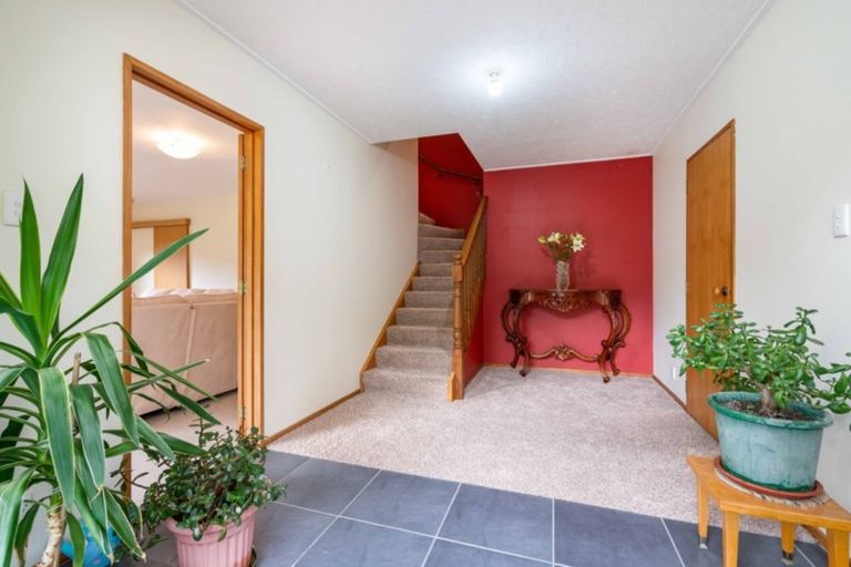 Photo of property in 54 Glenross Street, Glenross, Dunedin, 9011