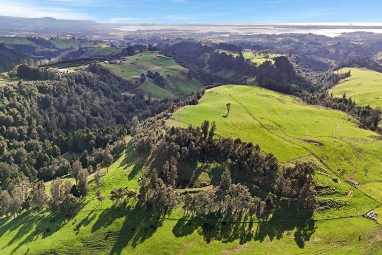 Photo of property in 687 Work Road, Whakamarama, Katikati, 3181