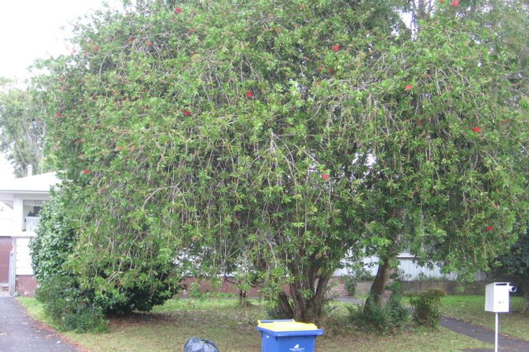 Photo of property in 40 Te Kanawa Crescent, Henderson, Auckland, 0610