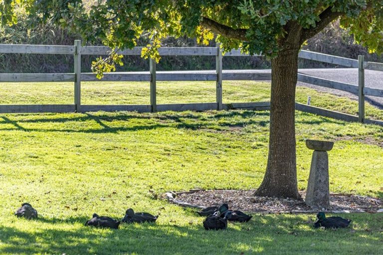 Photo of property in 11 James Road, Huntly, 3771