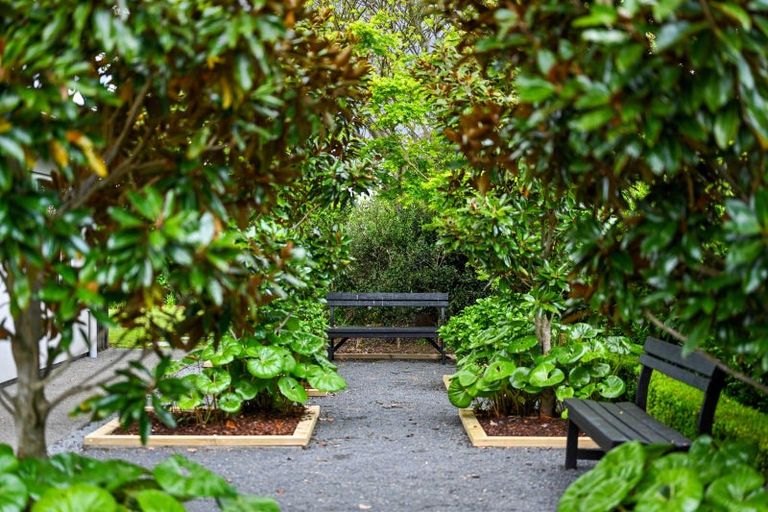 Photo of property in 21 Norfolk Drive, Cambridge, 3434