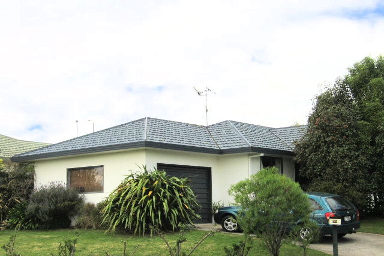 Photo of property in 38 Tom Muir Drive, Gate Pa, Tauranga, 3112