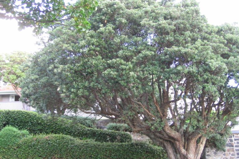 Photo of property in 37 Weston Avenue, Mount Albert, Auckland, 1025