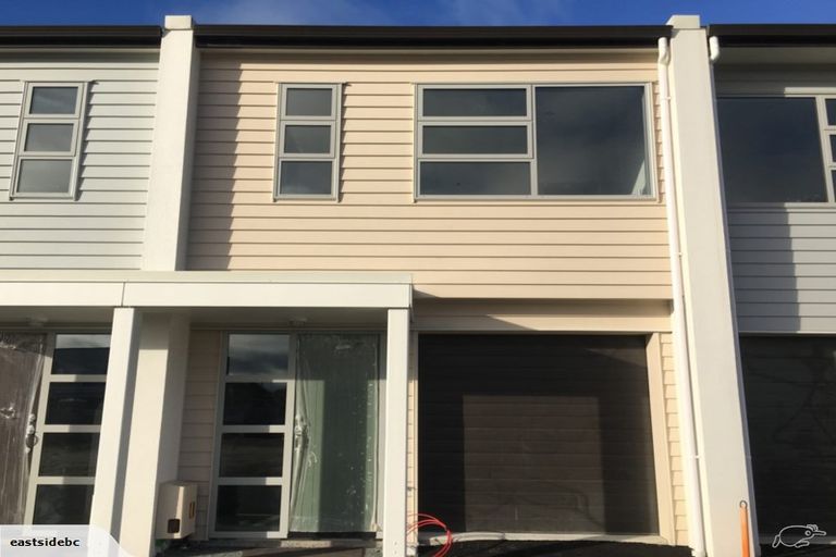 Photo of property in 29 Portland Lane, Chartwell, Hamilton, 3210