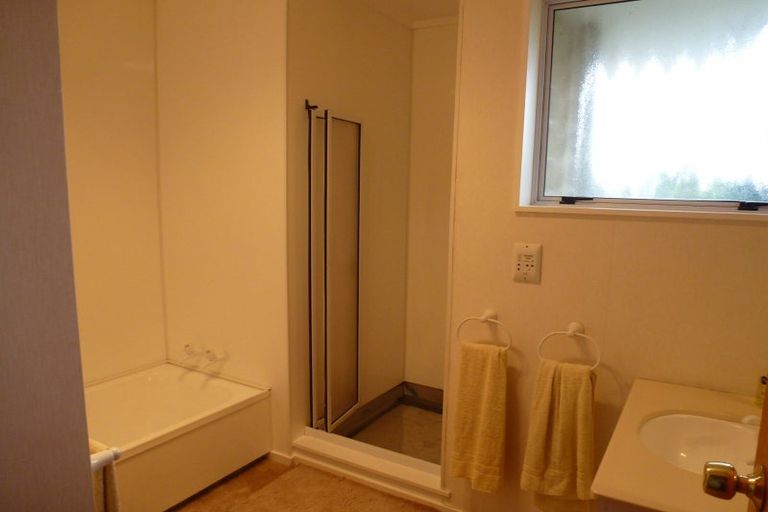 Photo of property in 46b Church Street, Awapuni, Palmerston North, 4412