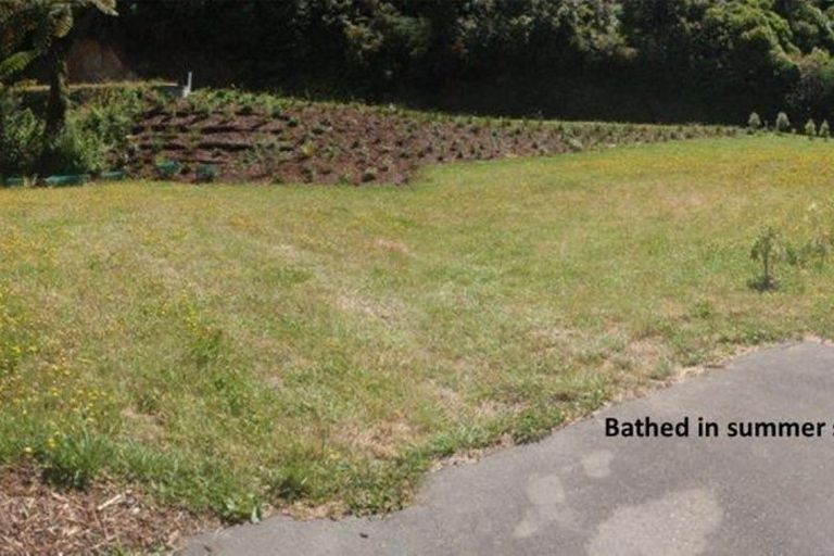 Photo of property in 1317 Abel Tasman Drive, Tata Beach, Takaka, 7183