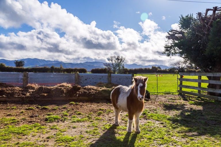 Photo of property in 3307 State Highway 2, Clareville, Carterton, 5713