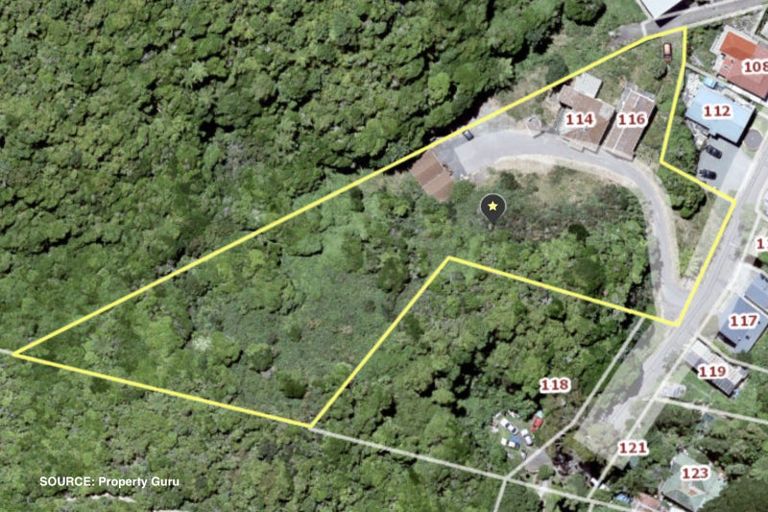 Photo of property in 114 Holloway Road, Aro Valley, Wellington, 6021