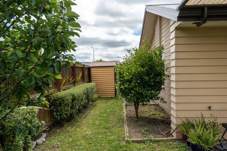 Photo of property in 8 Squire Avenue, Chartwell, Hamilton, 3210